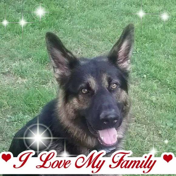 Meet your Posher, April - Picture 1 of 1